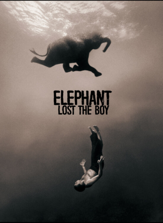 Elephant Lost The Boy, Alidor Dolfing